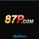 87P Game